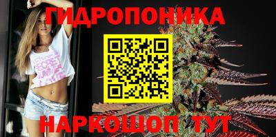 гидра Владикавказ