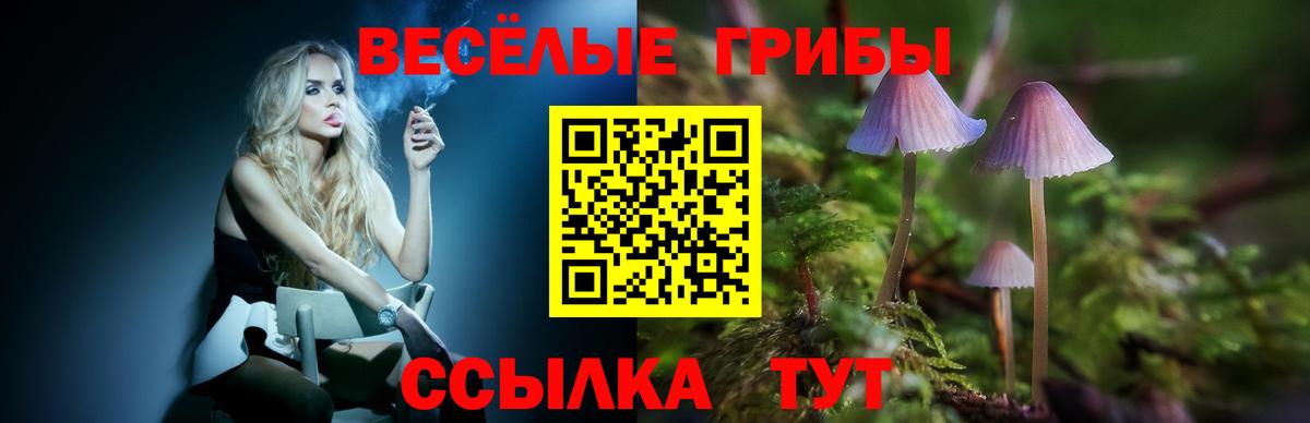 Чебоксары  Галлюциногенные грибы Cubensis  Вход с VPN 